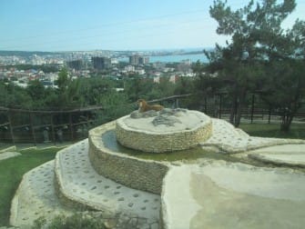 Сафари-Парк