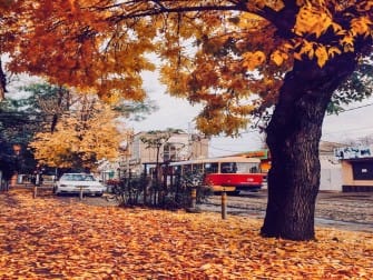 Осень2018