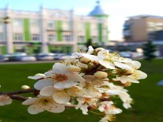 Весна