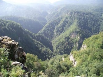 Гуамка