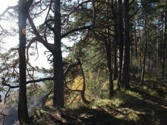 Лаго-Наки