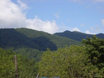 Вардане