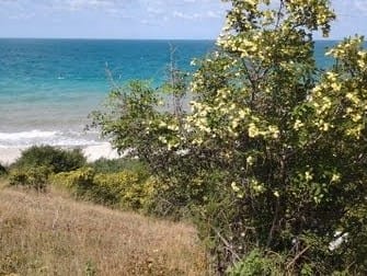 Анапа